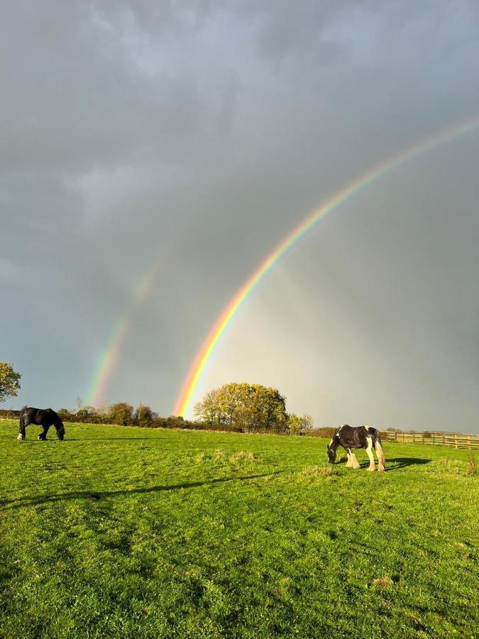 Appaloosa Suite With Amazing Views Of Stud Farm. Driffield Exteriér fotografie